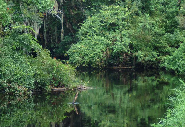 Little Manatee River State Park